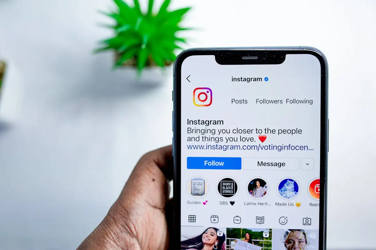 link ig di bio